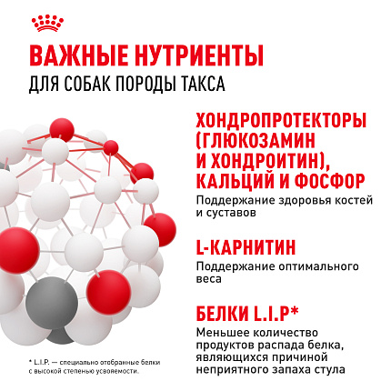 Royal Canin Dachshund Adult Корм сухой для взрослых собак породы Такса от 10 месяцев, 7,5 кг